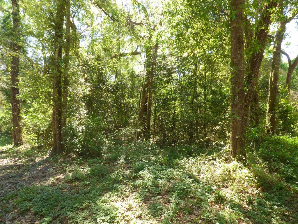 Lot 4 170 St - Photo 1