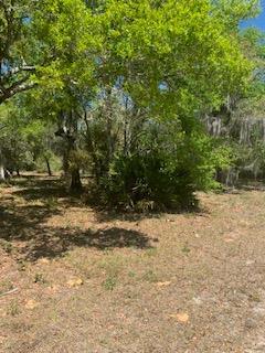 LOT14-15 358TH HWY - Photo 1