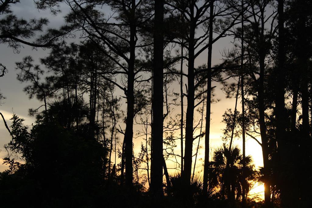Lot 23 155 CT - Photo 1