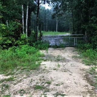 2262 349 Hwy - Photo 1