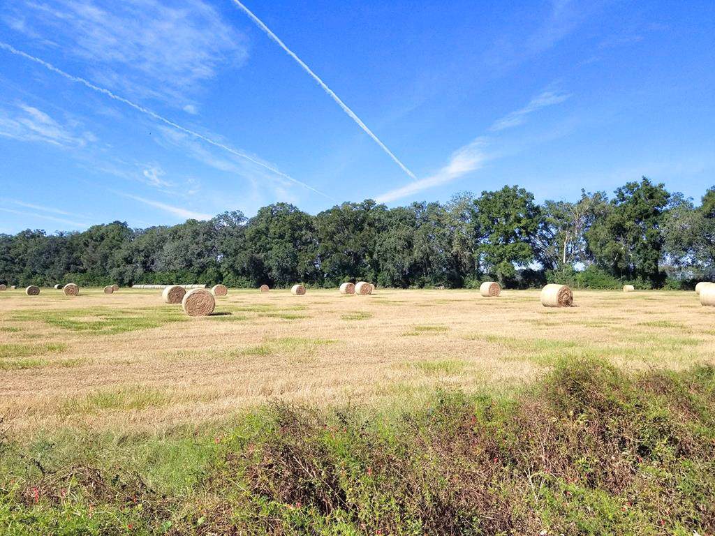 County Road 341 - Photo 1