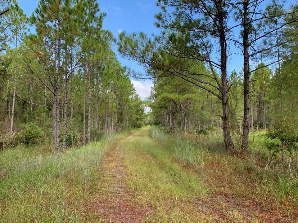 00 State Rd 24 - Photo 1