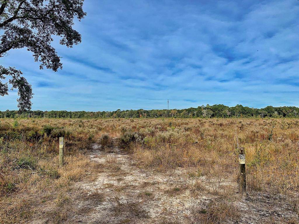 000 155 St - Photo 1