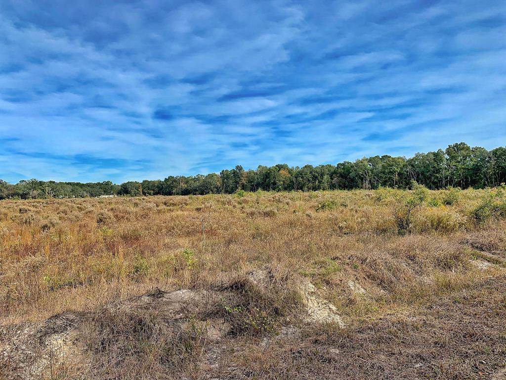 0000 155 St - Photo 1