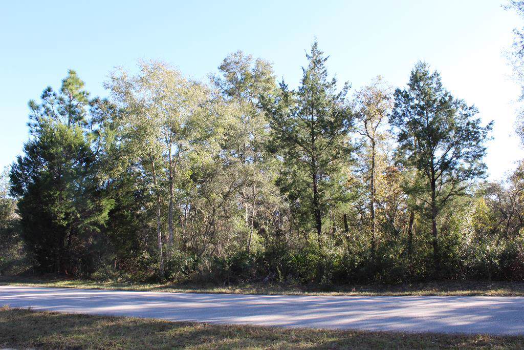 60th Street - Photo 1