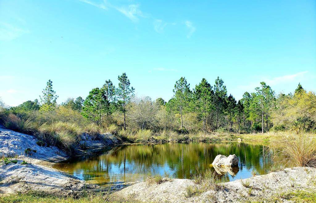 60 ST - Photo 1