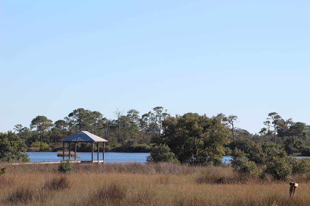 Museum Drive - Photo 1