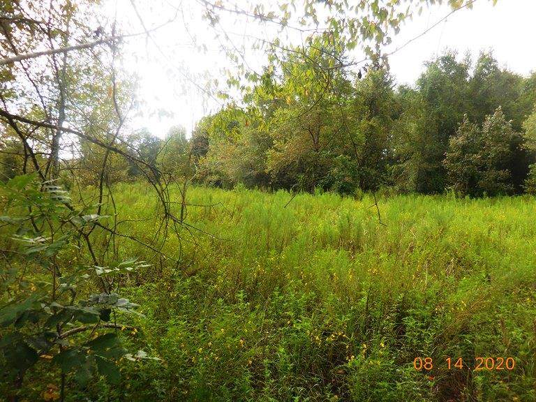 776 Ave - Photo 1
