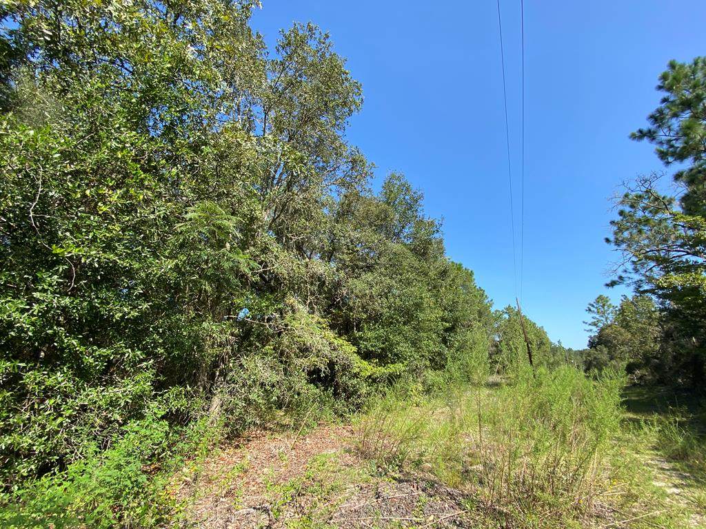 Lot 6-7 96 Ave - Photo 1