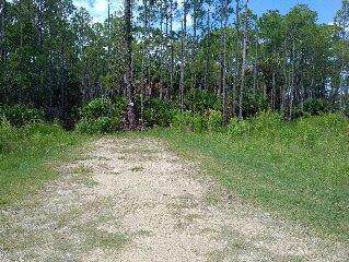 LOT 7 104th St - Photo 1