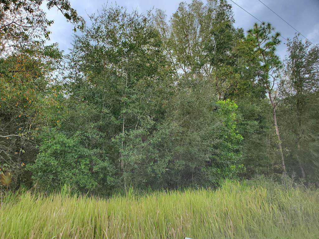 Lot 10 10th Ave - Photo 1