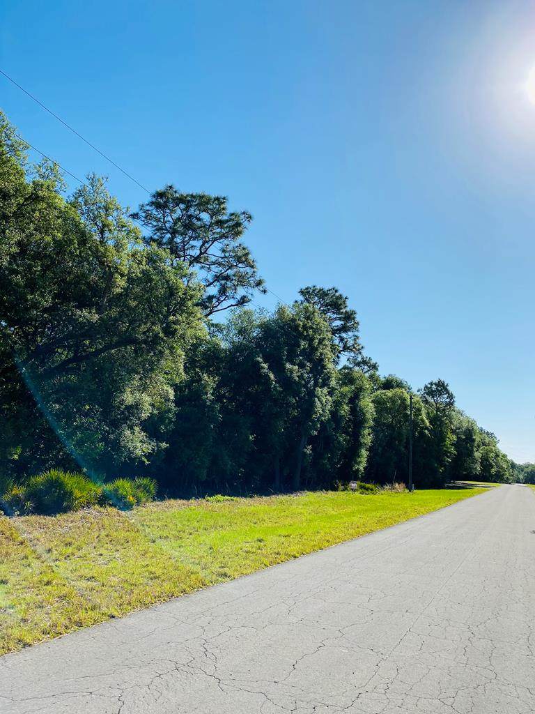 Lot 10 110th St - Photo 1