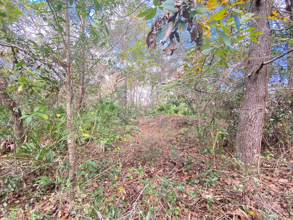 Lot 6 110th Circle - Photo 1