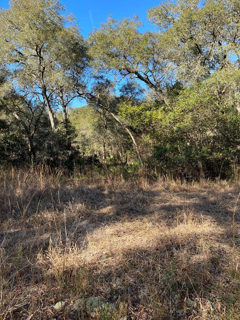 0 438 - Photo 1