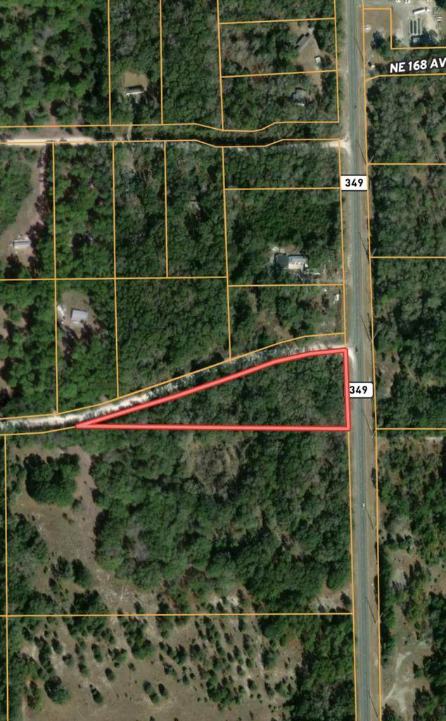 Hwy 349 & Alton Road - Photo 1