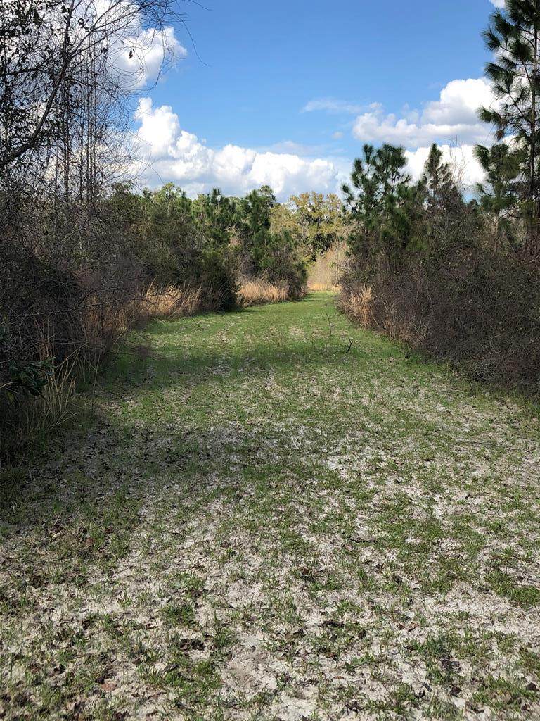 54th Drive - Photo 1