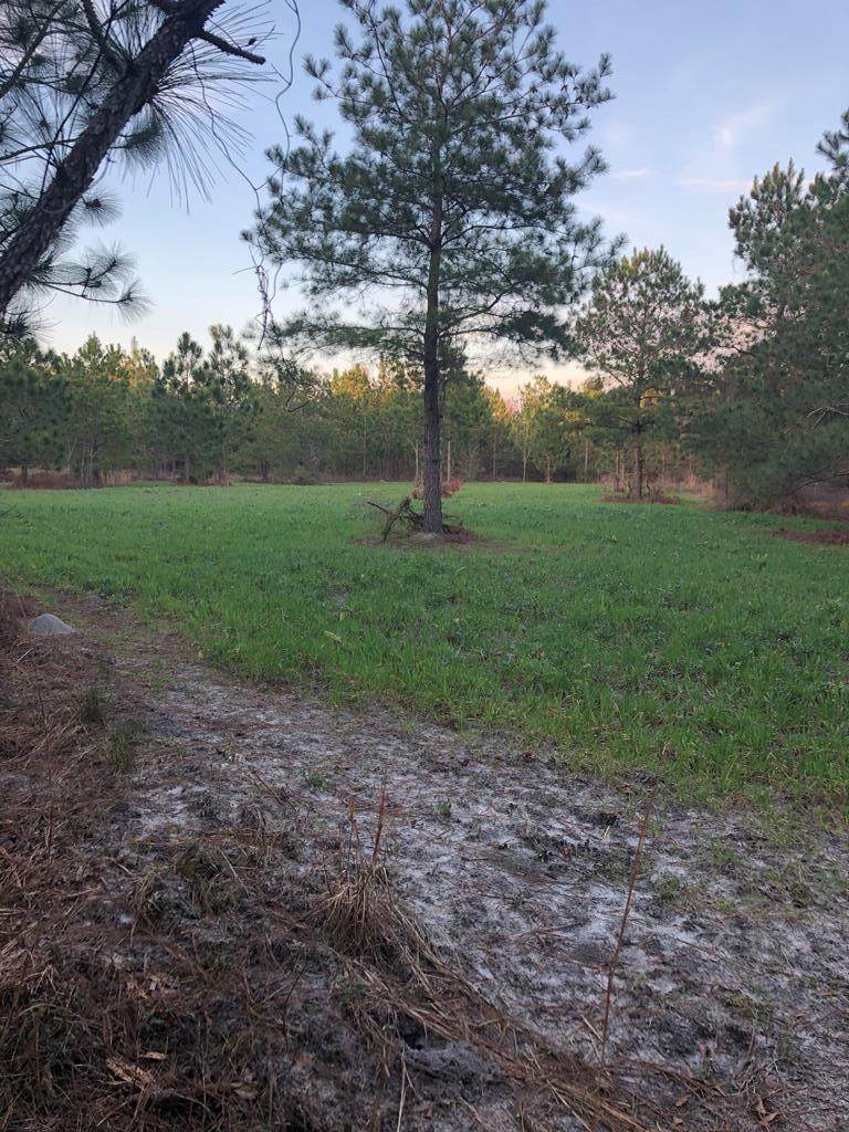 135 County Road - Photo 1
