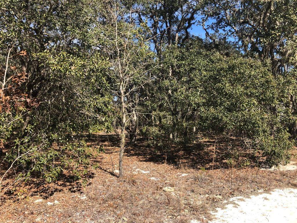 Lot 29 69 St - Photo 1