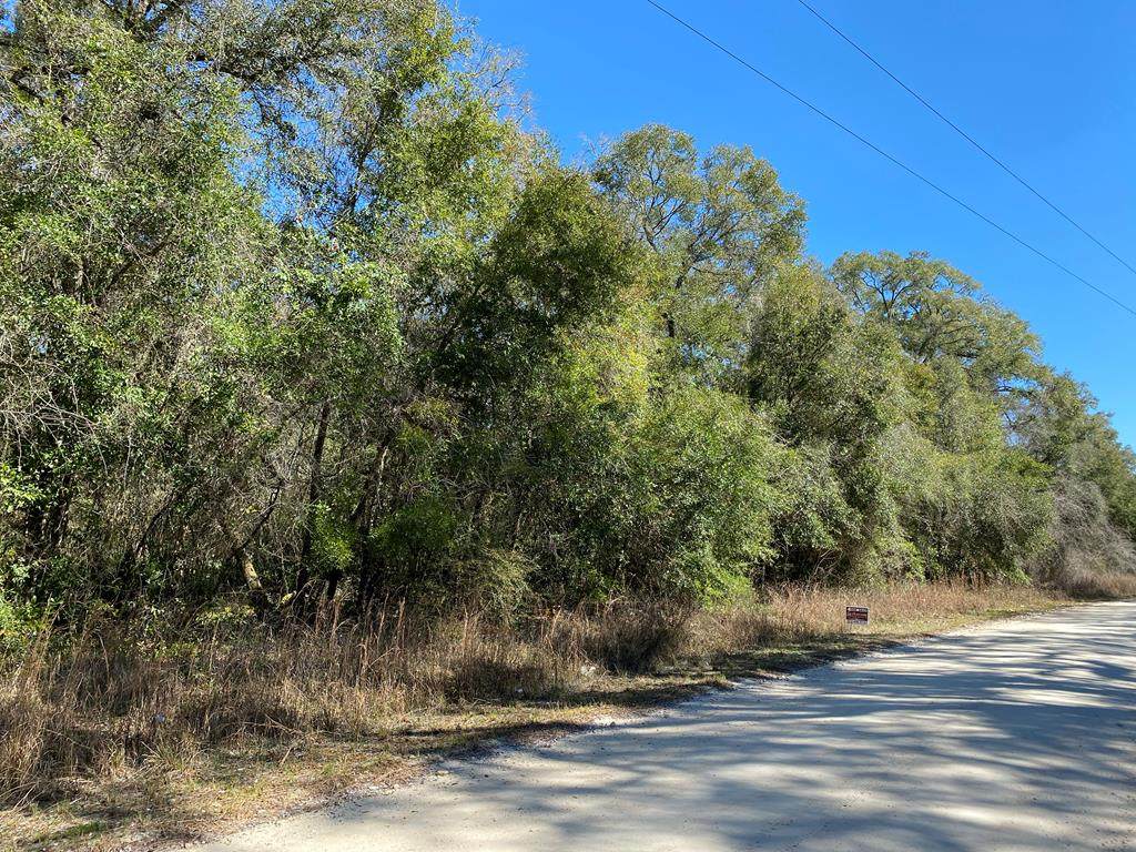 TBD 290th Ave - Photo 1