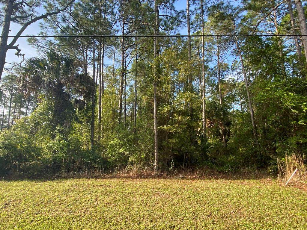Lot 72 349th Ave - Photo 1