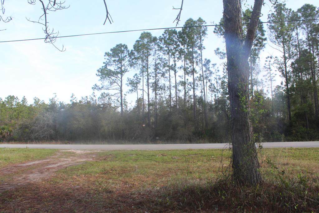 TBD 349th Ave - Photo 1