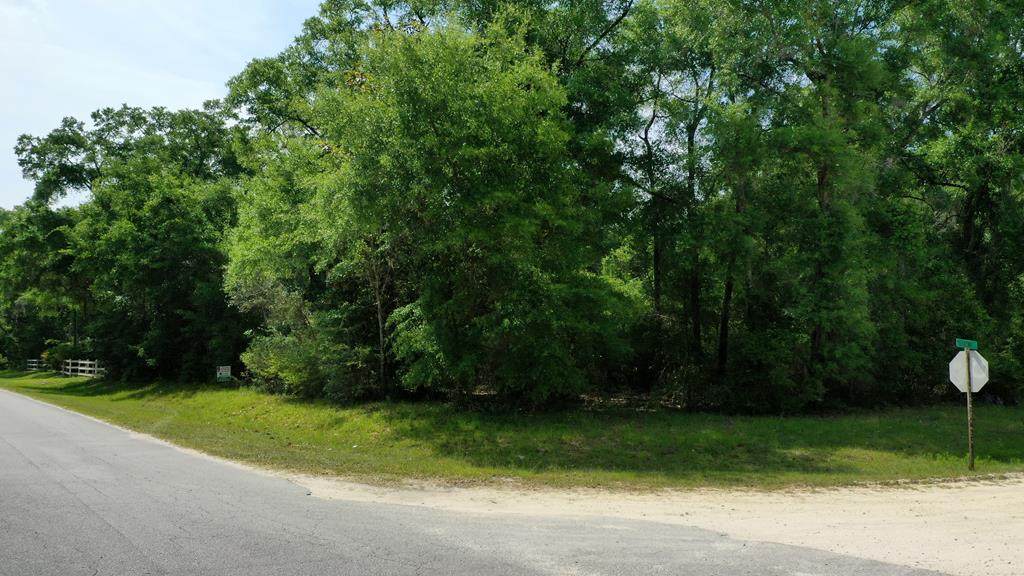 LOT 61 73rd St - Photo 1