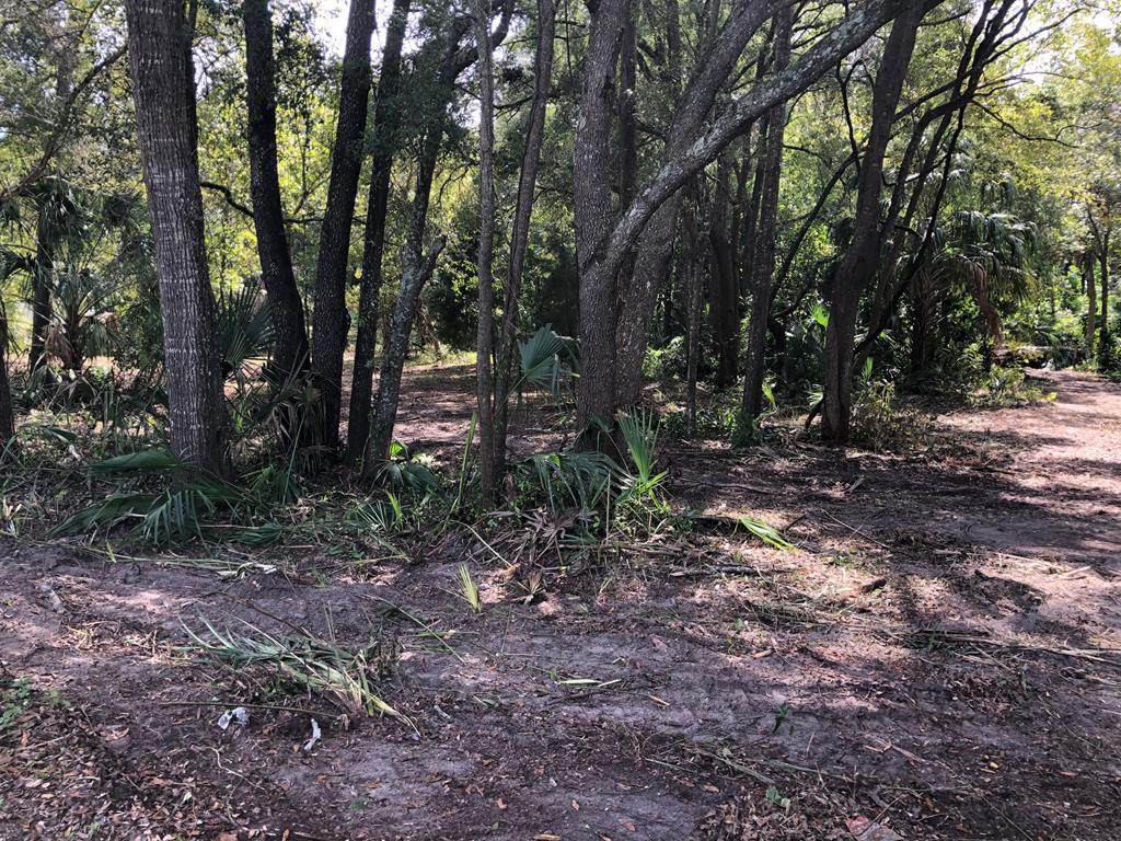 1219 19th Ave - Photo 1