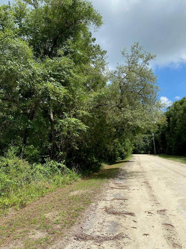 Lot 3 972nd St - Photo 1