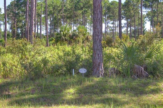 Lot 84 100th Pl - Photo 1