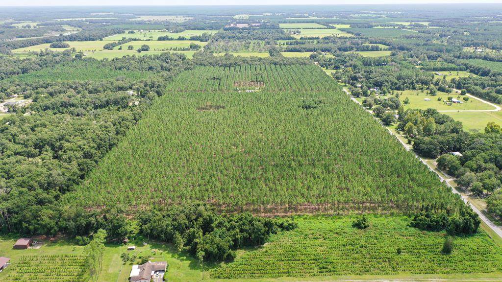 LOT 4 55th Ave - Photo 1