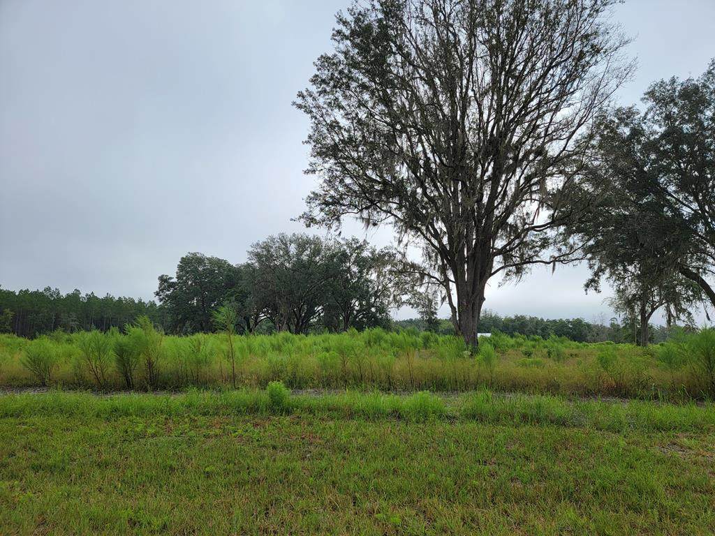 35th Ave - Photo 1