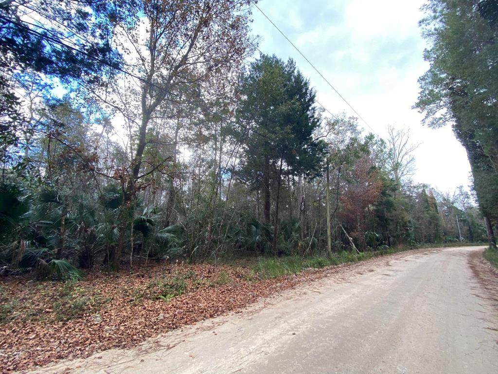 00 County Road 326 - Photo 1