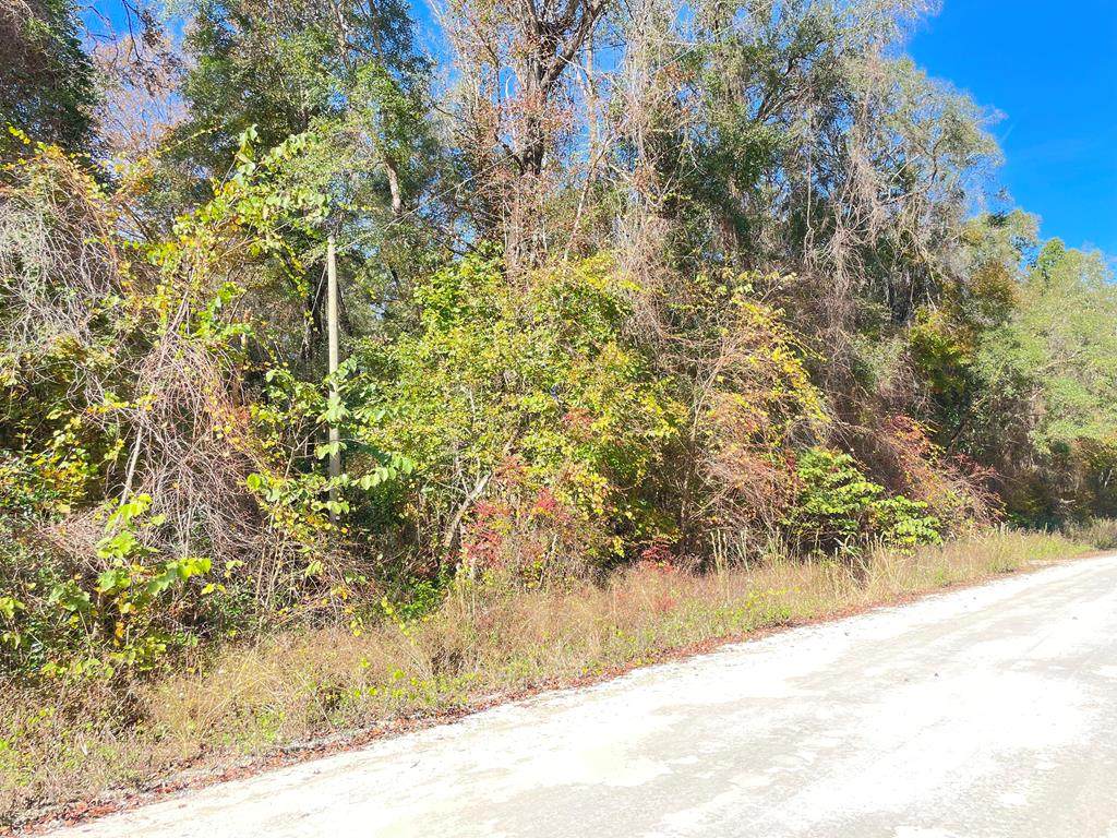 Lot 24 746th St - Photo 1