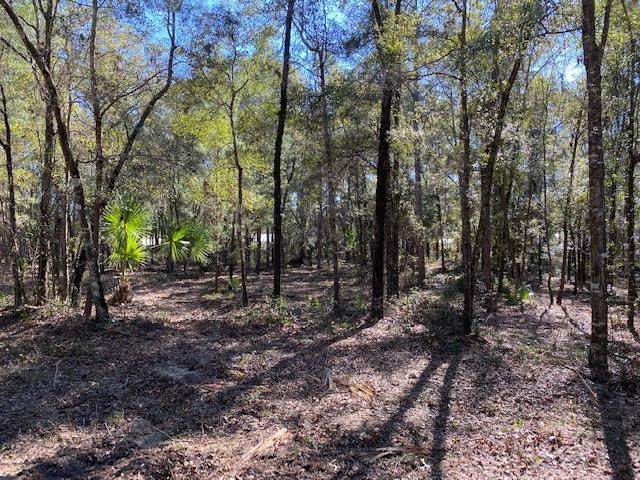 LOT 34 White Oak Dr - Photo 1
