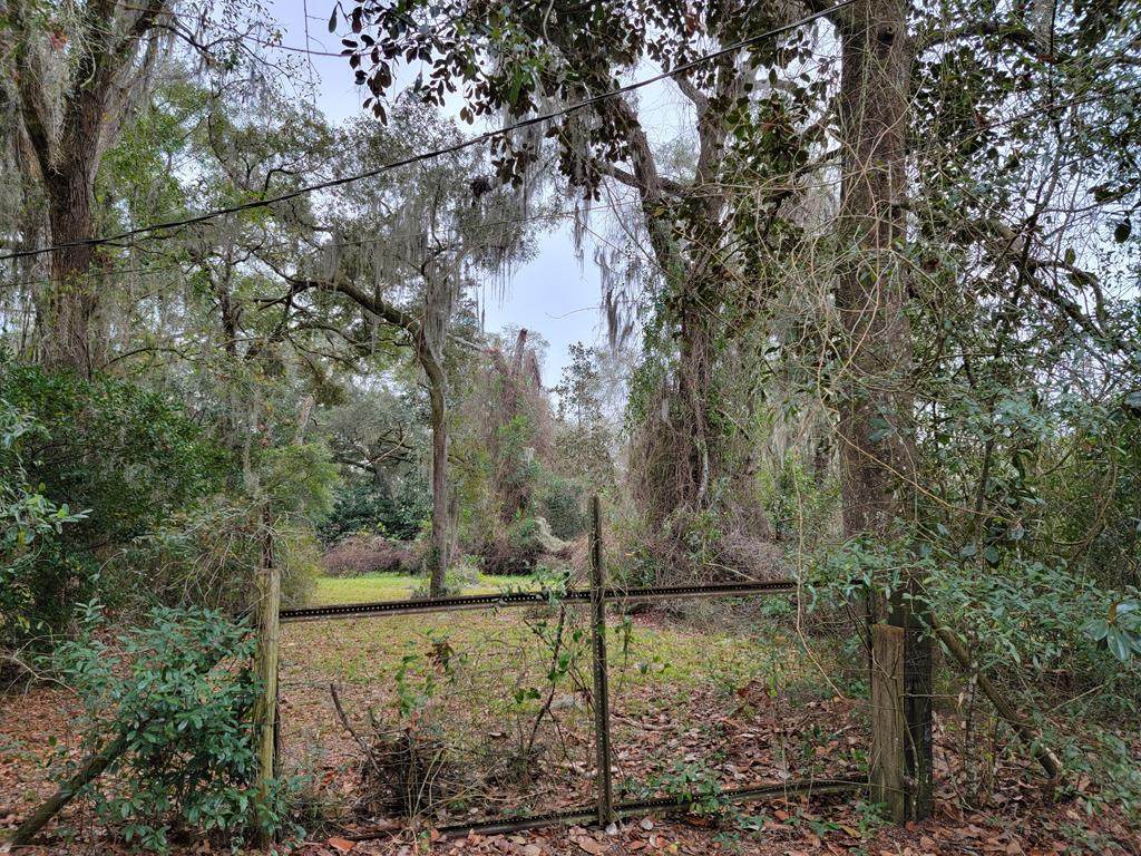 Lot 10 Spring View Ave - Photo 1