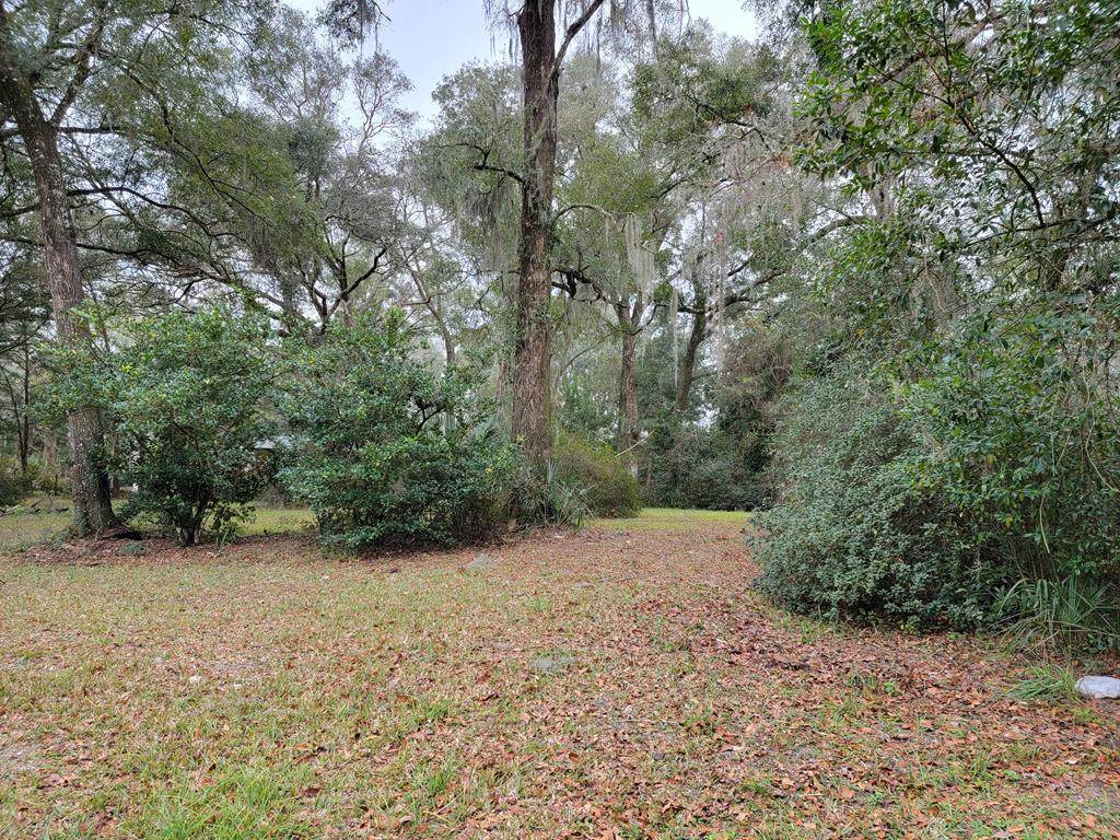 Lot 11 Spring View Ave - Photo 1