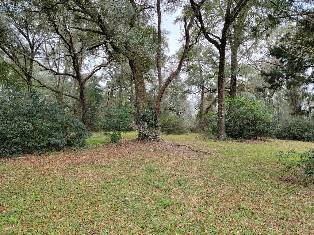 Lot 12 Spring View Ave - Photo 1