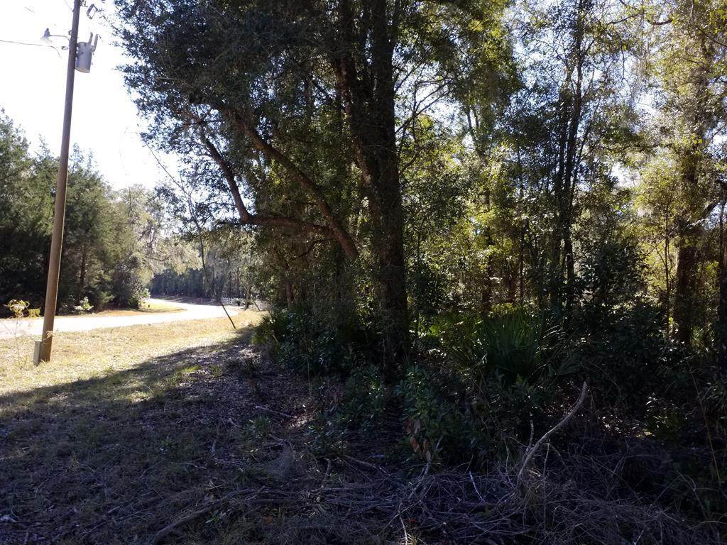 Lot 90 Spanish Trace - Photo 1
