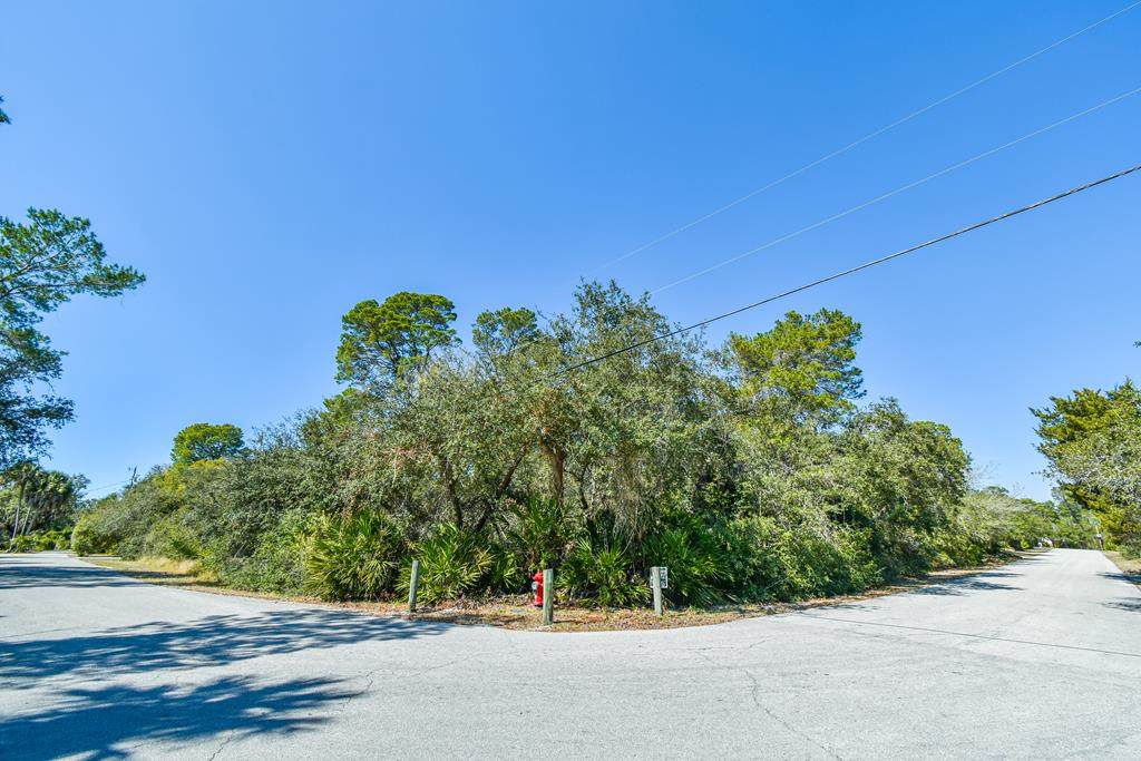 Merle Ave - Photo 1