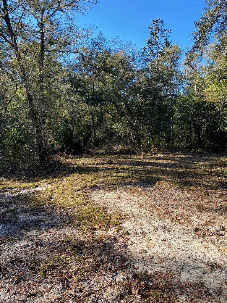 Tract 22 County Road 347 - Photo 1