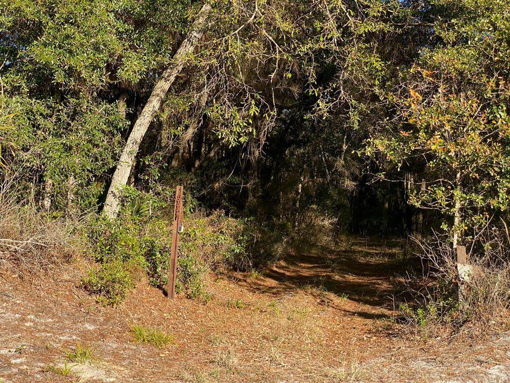 Tract 23 County Road 347 - Photo 1