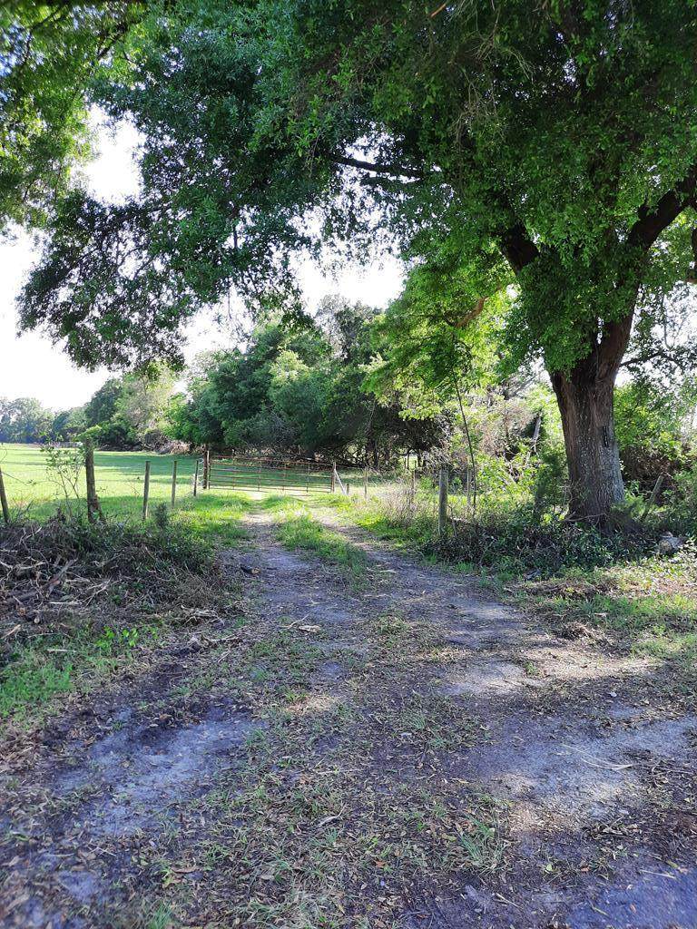 232/344 County Road 344 - Photo 1