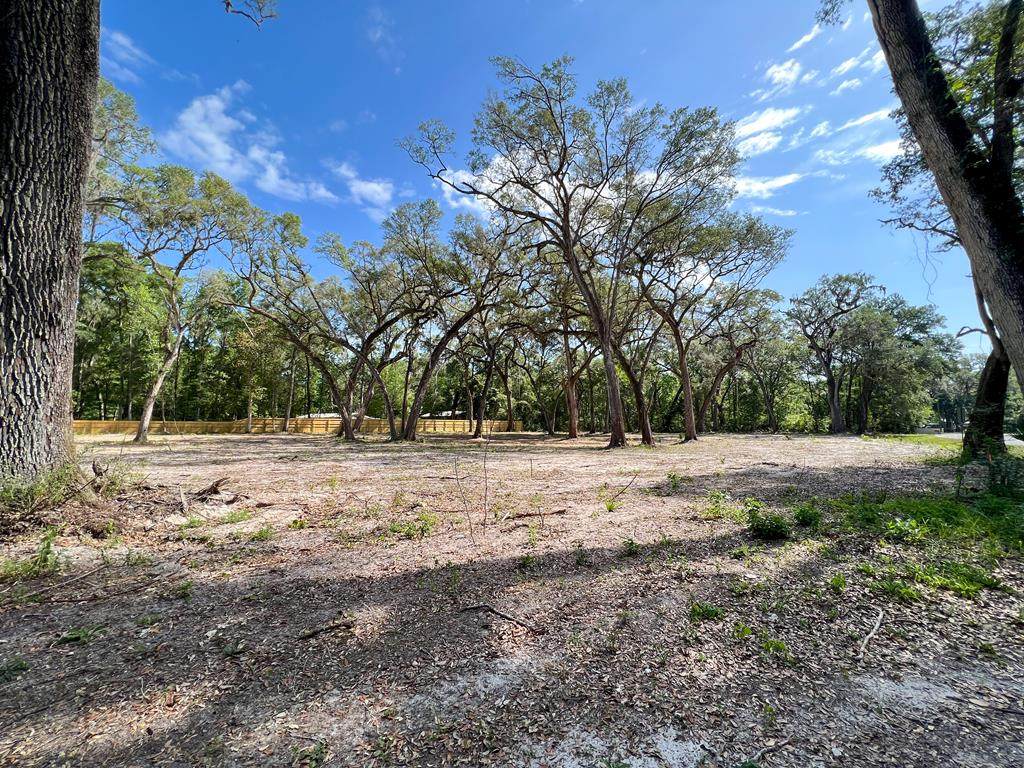 Lot 17 597th St - Photo 1
