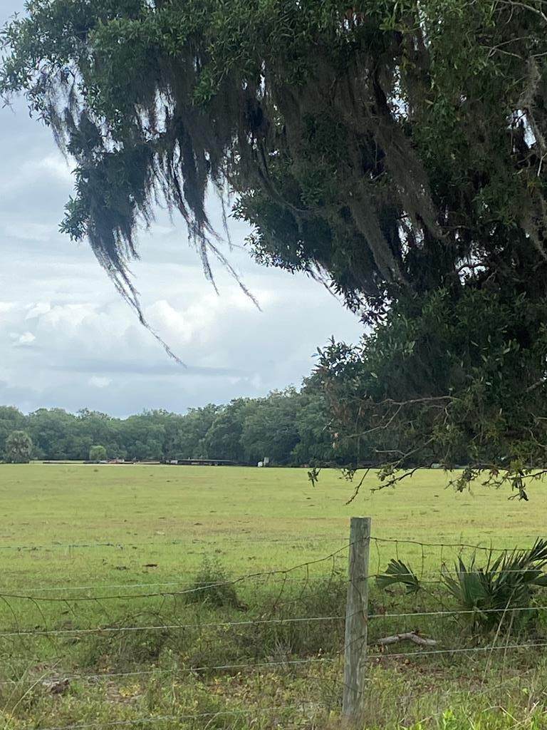8883 Us Hwy 90 - Photo 1