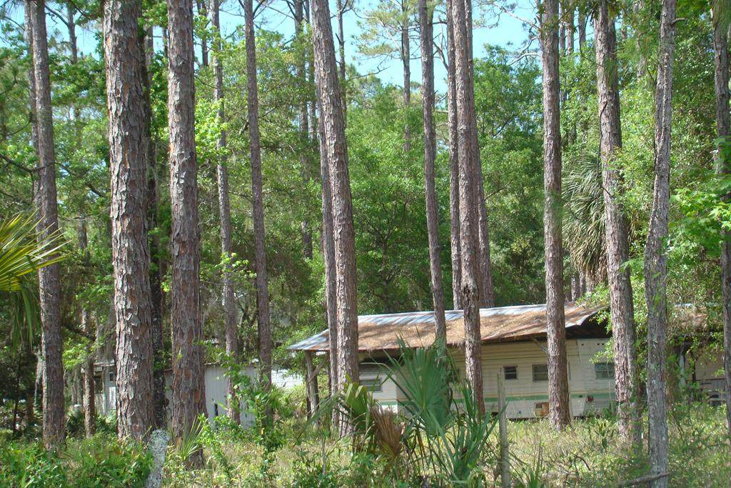 11235 Hwy 351 - Photo 1