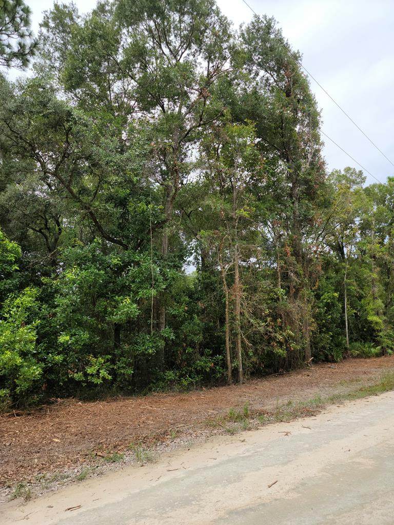 TBD Old Fannin Rd - Photo 1