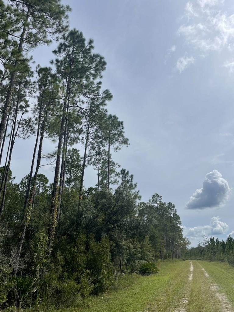 51st Way - Photo 1