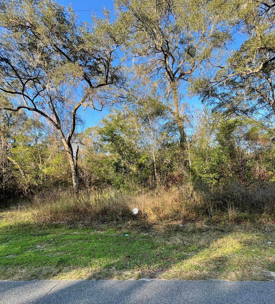 Lot 5 272nd Ave - Photo 1