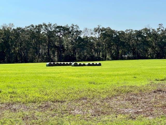 County Road 341 - Photo 1