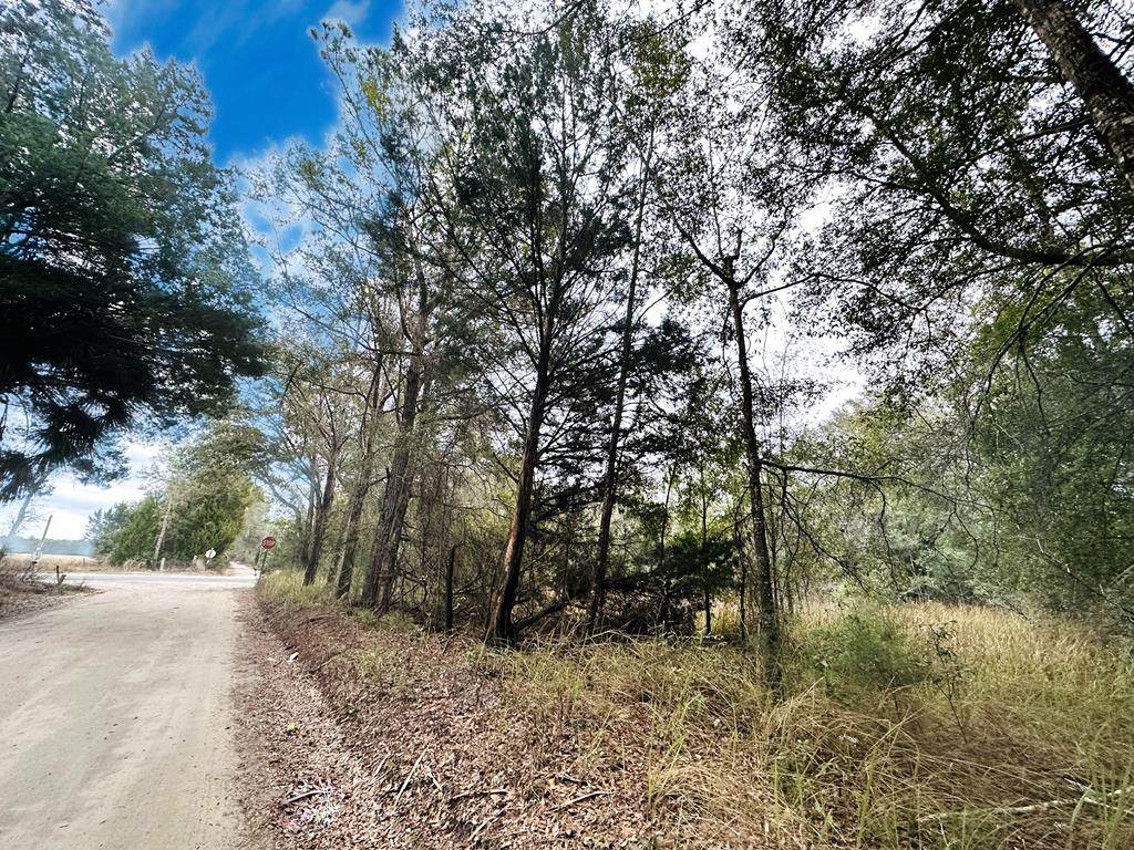 Lot 1 30th St - Photo 1